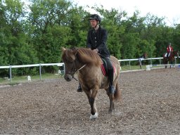 img_4599_web